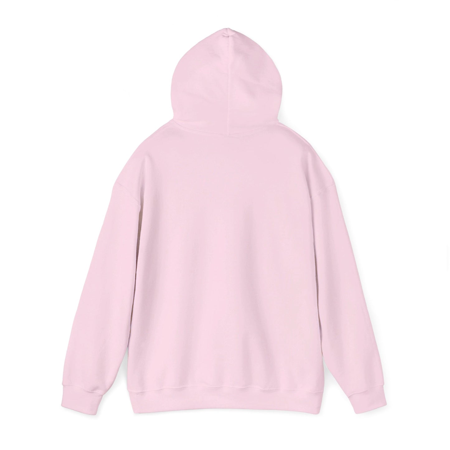 AS Hooded Sweatshirt