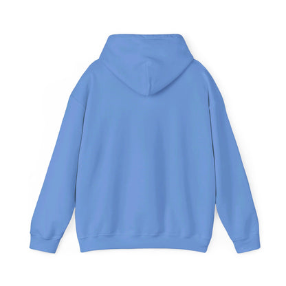 AS Hooded Sweatshirt