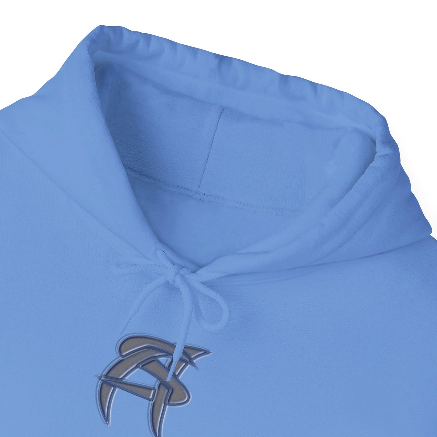 AS Hooded Sweatshirt