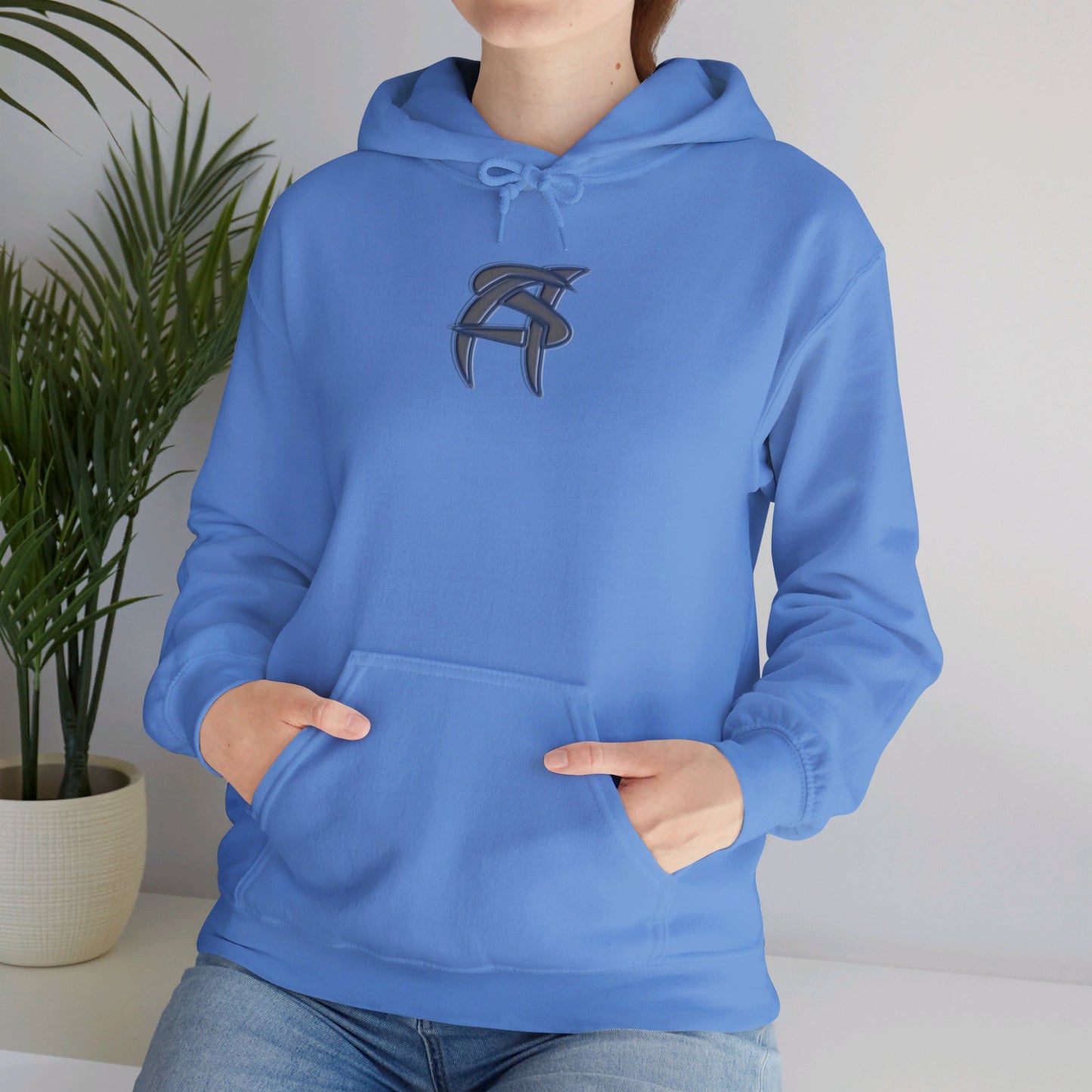 AS Hooded Sweatshirt
